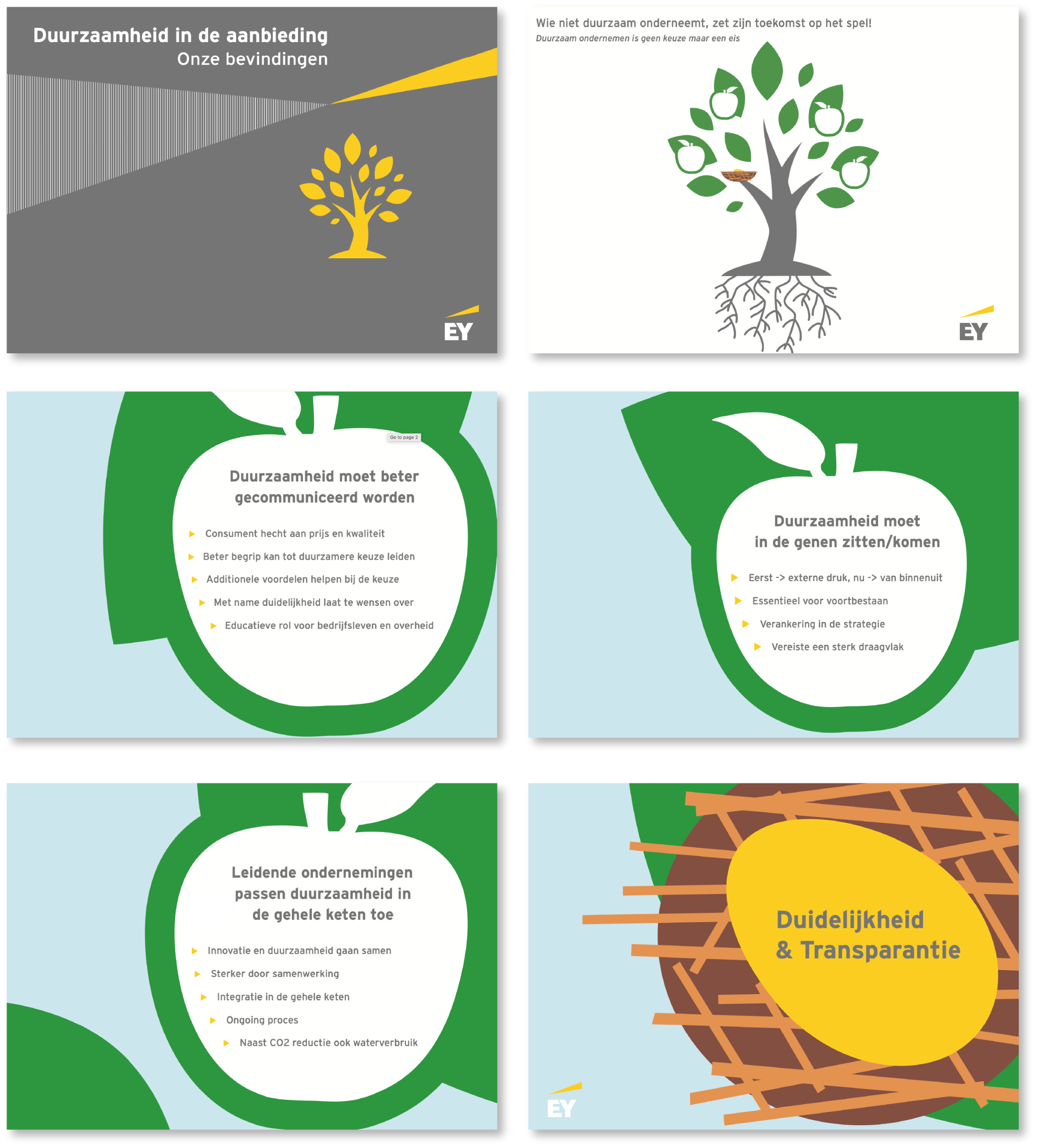 Ernst en Young duurzaamheid